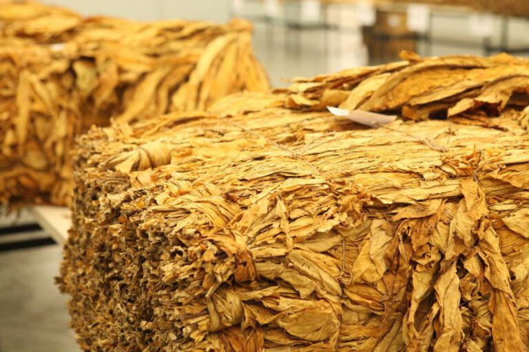 Confira as alterações no preço do tabaco