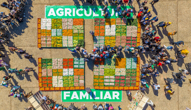 Combate à fome: Conab participa da elaboração do Plano Nacional de Abastecimento Alimentar