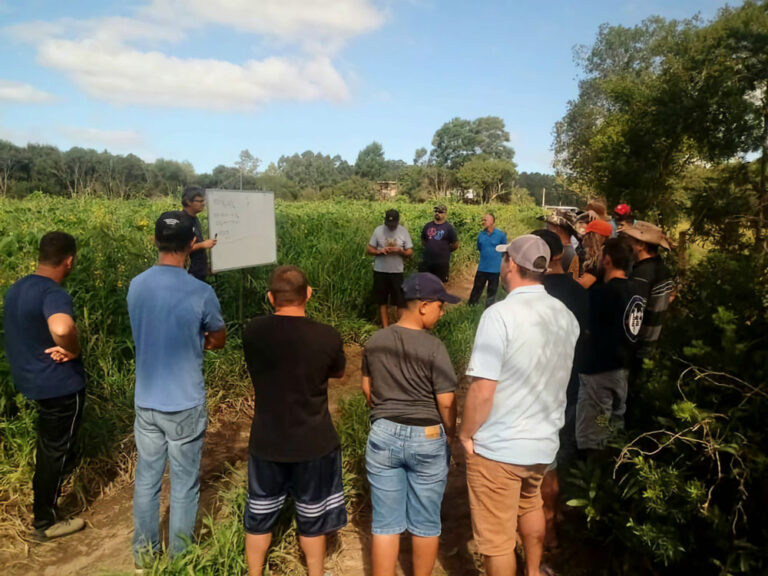 Cerro Grande do Sul utiliza resíduos de serragem para preservação do solo