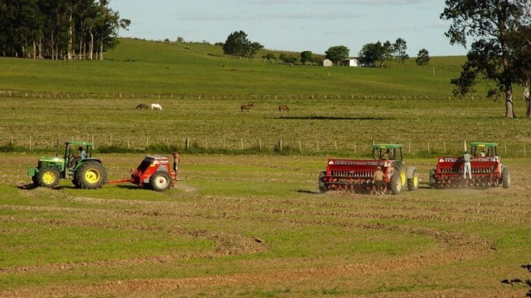 Conab: produção de grãos deve atingir 312 milhões de toneladas