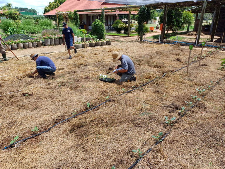 Emater/RS-Ascar organiza espaço para Expoagro Afubra