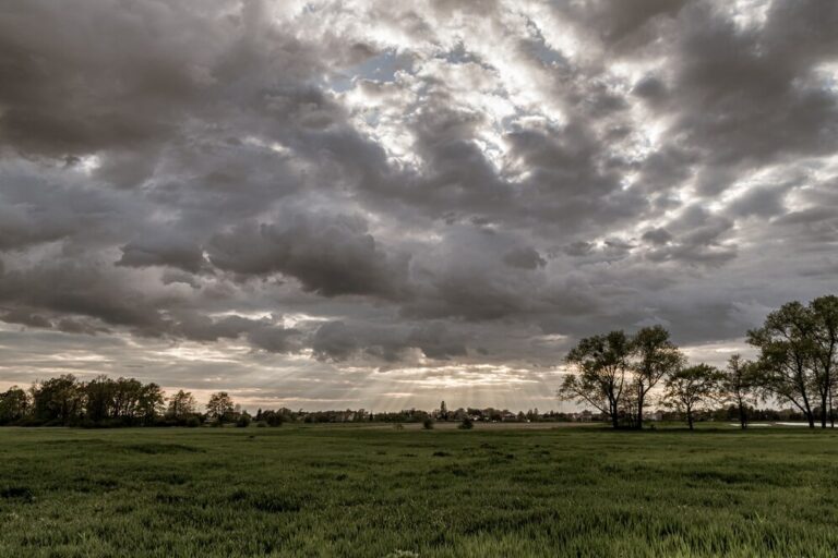 Com chuva e temperatura acima da média no RS, fevereiro marca o início do enfraquecimento do El Niño