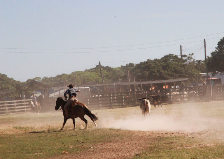 Rodeio de Arambaré transferido