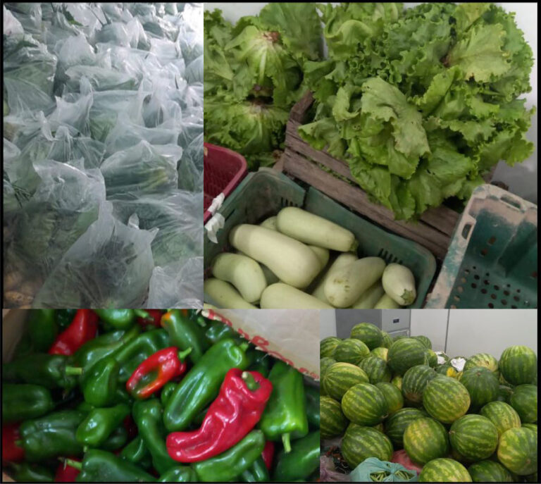 Retorno do Programa Aquisição de Alimento em Barra do Ribeiro