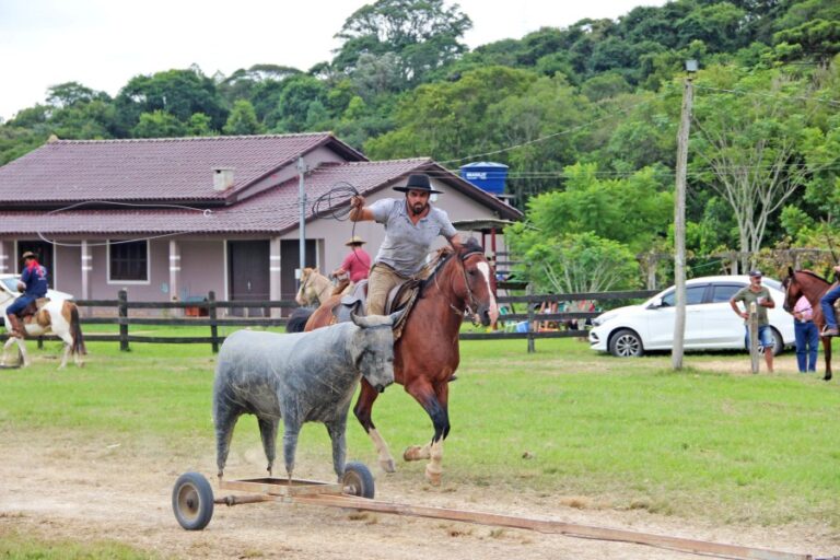 Rodeio de Vaca Mecânica em Cerro Grande do Sul