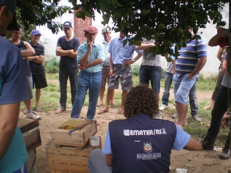 Expansão da Meliponicultura em Dom Feliciano