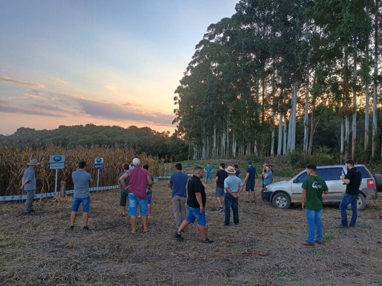 Agropecuária Guedes e parceiros realizam Dia de Campo inovador