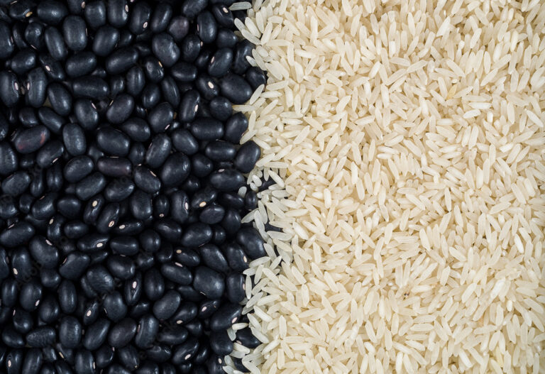 Conab prevê novo aumento nas áreas de arroz e feijão