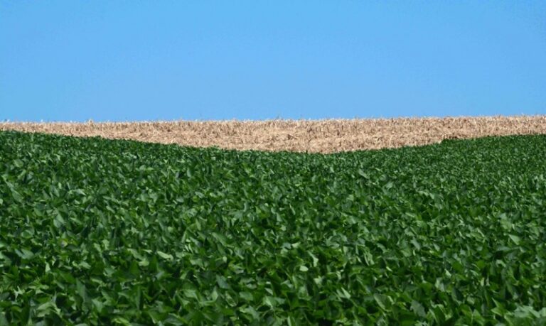 La Niña fraca deve marcar clima nos próximos três meses