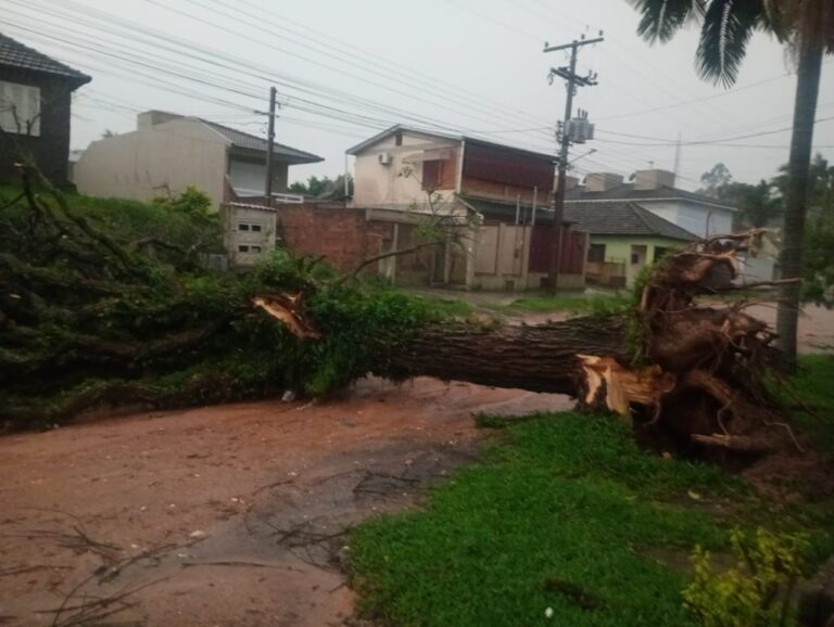 Chuvas intensas, ventos forte, raios e muito estrago na cidade de Camaquã